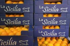 Caruana fruit - Ribera (AG)