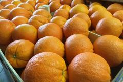 Caruana fruit - Ribera (AG)