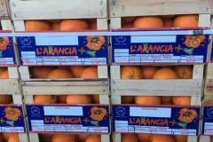 Caruana fruit - Ribera (AG)