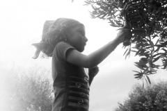 Caruana fruit - Ribera (AG)